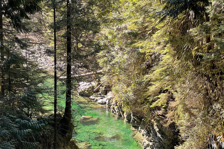 Vancouver: Regenwald-Wasserfall-Wanderung und Hängebrücke