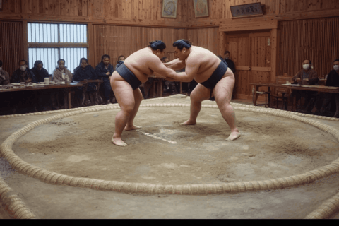 东京：相扑表演体验含饮品及合影东京：相扑表演体验，含饮品与合影