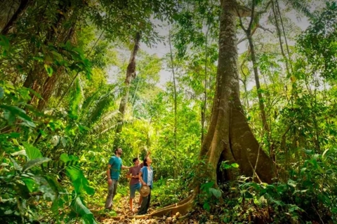 Desde Tambopata: Selva viva 3D/2N