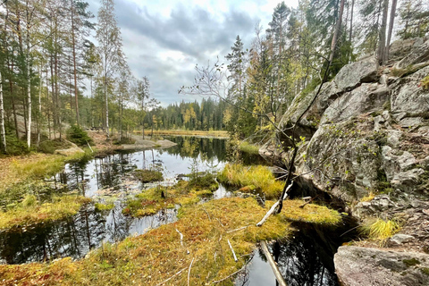 Helsinki: Nuuksio National Park Geführte Waldbad Tour