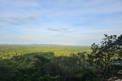 Från Kandy: Dagsutflykt till Sigiriya och Dambulla