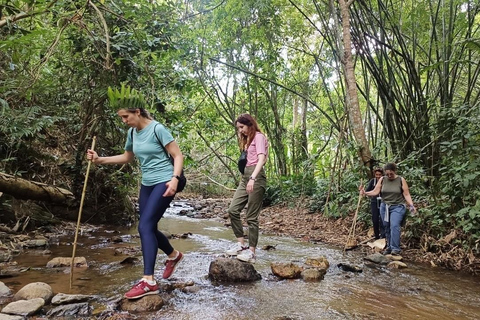 Chiang Rai Trek: 4 Hilltribes Villages & Waterfall Only Walk