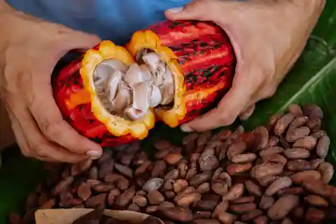 Cartagena: Colombian Chocolate Workshop From Bean to Bar