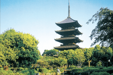 Kyoto: Private Shore Excursion from Osaka/Kobe port