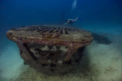 Desde Cancún: Experiencia de Buceo en Naufragios en Puerto Morelos