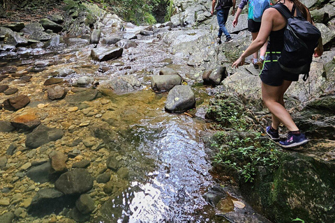 Au départ de Hue/Da Nang : Randonnée de luxe dans le parc national de Bach MaDe Da Nang : Parc national de Bach Ma