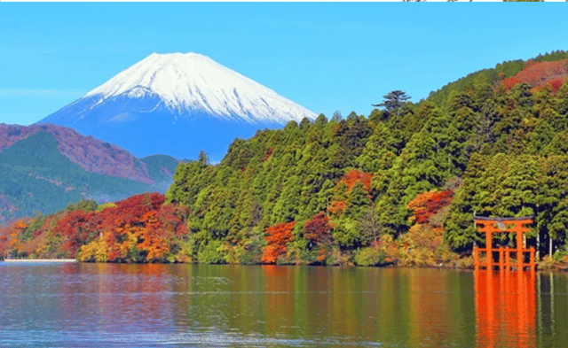 From Tokyo: Hakone, Lake Ashi Private Sightseeing Day Trip.