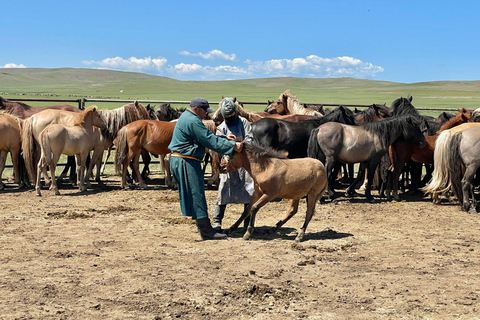 Nomadic Mongolia: Gobi, Steppe & Heritage Tour