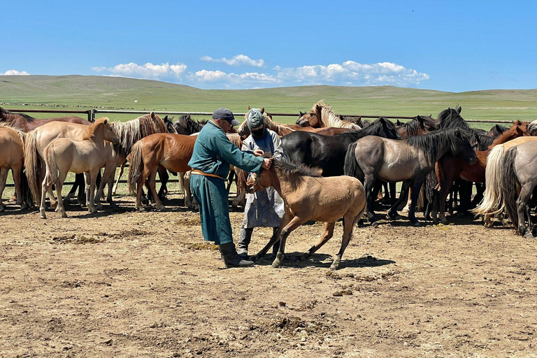 Nomadic Mongolia: Gobi, Steppe & Heritage Tour
