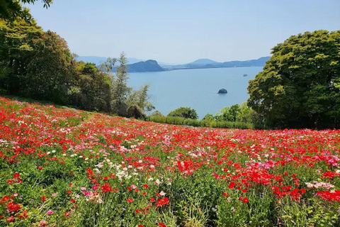 Fukuoka:Nokonoshima Island Day Trip with Tour Guide& Driver