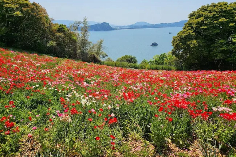 Fukuoka:Nokonoshima Island Day Trip with Tour Guide& Driver