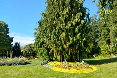 Stanley Park Car Tour: Comfort&amp;Cheaper Than Bike Rental/Tour