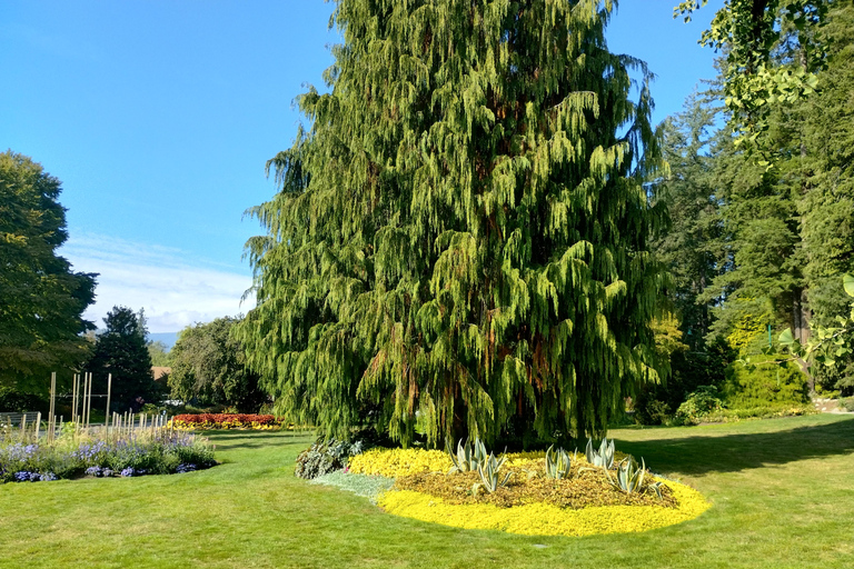 Stanley Park Autotocht: Comfort &amp; Goedkoper Dan Fietsverhuur/Tour