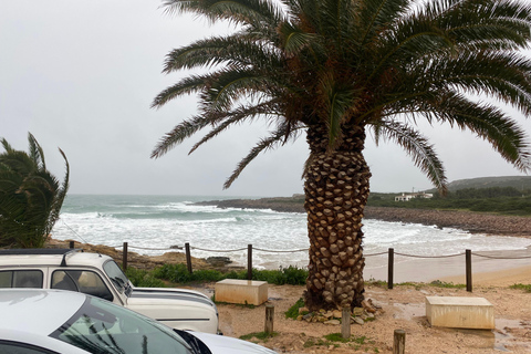 De Lagos: 5 horas de passeio pela costa algarvia com guiaO melhor do Oeste - Um passeio completo pela costa algarvia