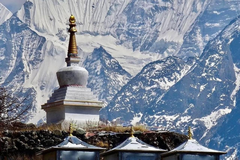 Katmandou : Trek dans la vallée du Langtang, visite guidée de 10 jours