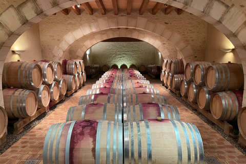 Paris Wine Day Tours - Sancerre wine tour from Paris