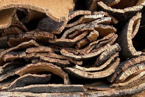 Evora, vignoble et fabrique de bouchons : Transport privé d&#039;une journée