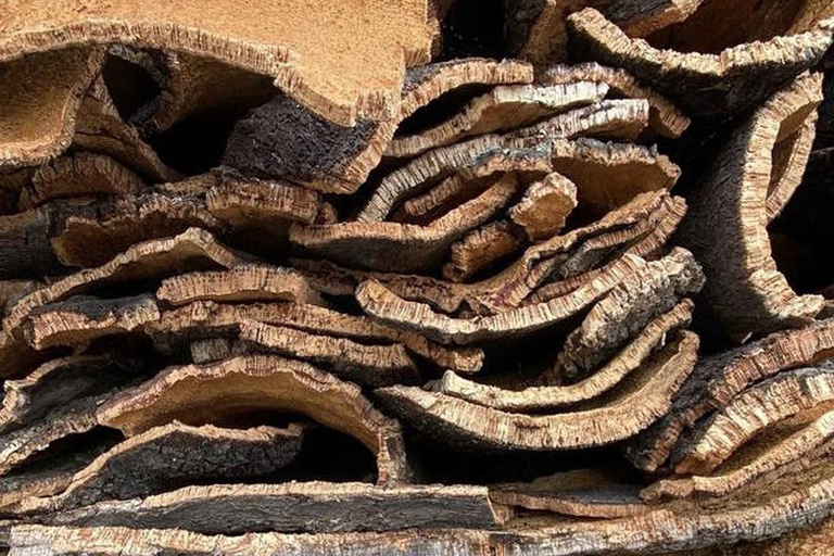 Evora, vignoble et fabrique de bouchons : Transport privé d&#039;une journée