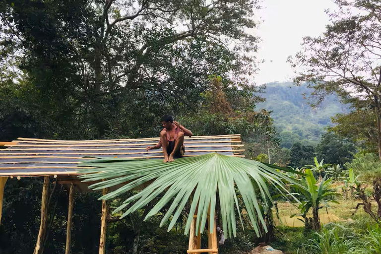 Ella: Little Adam’s Peak Jungle Route Guided Hike