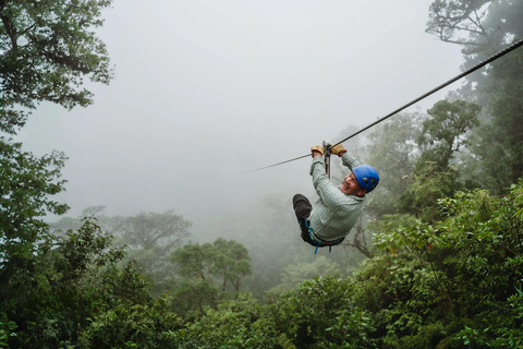 Kigali: 2-Day Nyungwe Canopy Walk, Zipline & Waterfall Tour