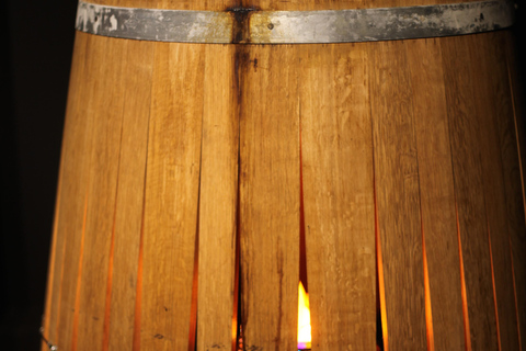 Dresden: Whisky Tasting Experience with Expert Guidance