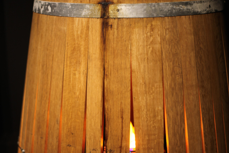 Dresden: Whisky Tasting Experience with Expert Guidance