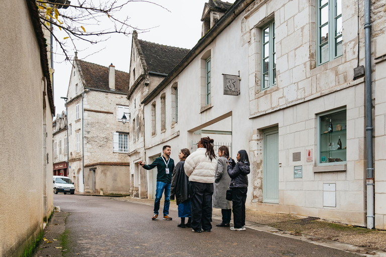 Bourgogne: visite des vignobles