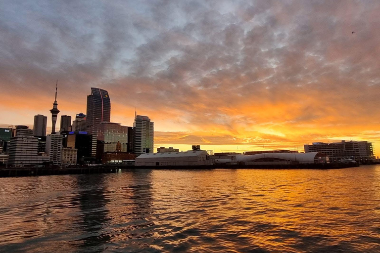Havencruise bij zonsondergang in AucklandRondvaart tijdens zonsondergang met drankje en kaasdoos-upgrade