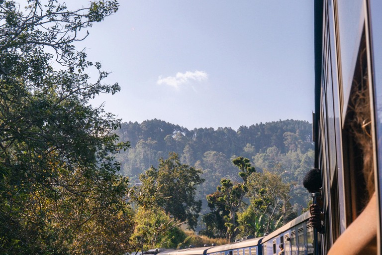 康提至努沃勒埃利耶观光列车电子票（含指定座位）康提至纳努瓦亚观光列车二等或三等车厢电子票