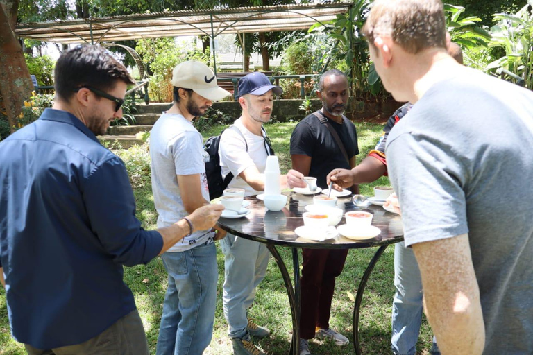 Kiambu: Fairview Estate Coffee Farm Tour with Tasting