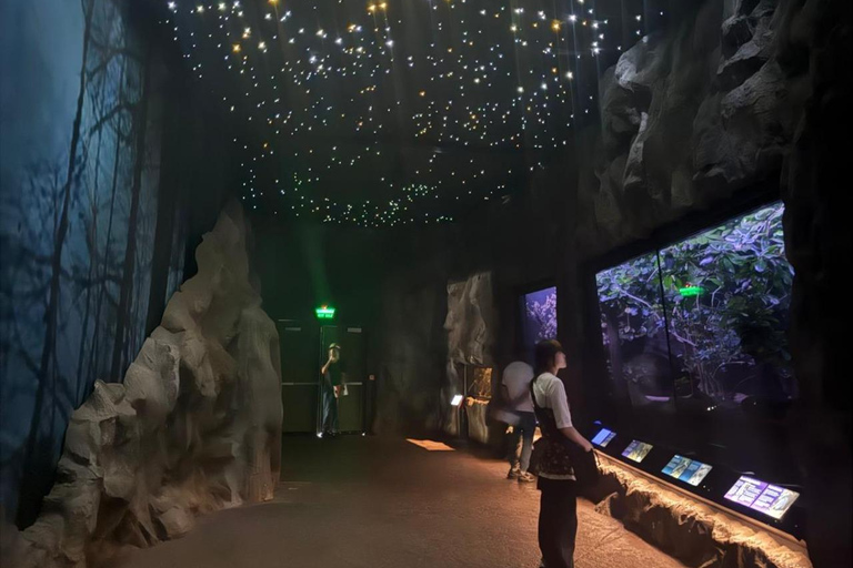 Tour di mezza giornata della città di Auckland e incontro con i kiwi autoctoniTour di mezza giornata alla scoperta della città di Auckland e dei kiwi autoctoni