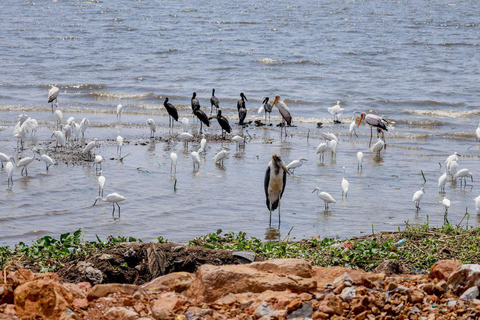 Nairobi: Lake Nakuru National Park and Lake Naivasha Tour