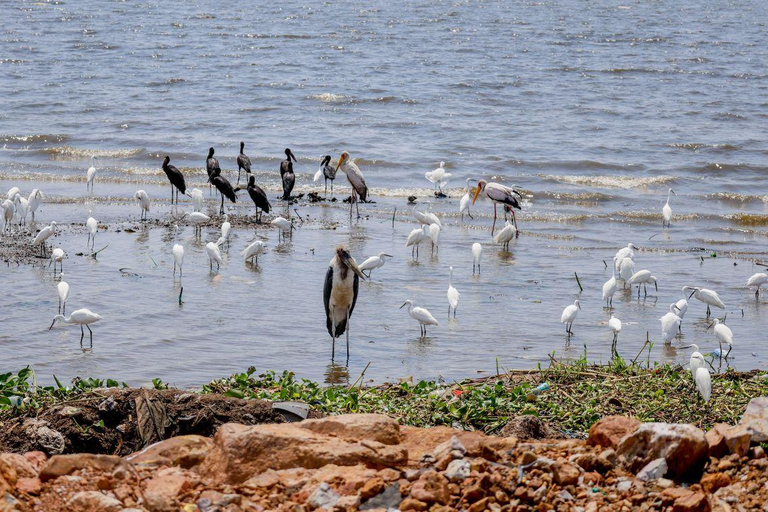 Nairobi: Lake Nakuru National Park and Lake Naivasha Tour