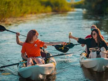 Lac Skadar : Visite guidée des oiseaux et location de kayak