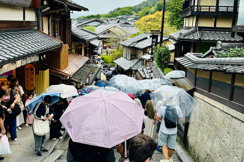 Tour privato di 3 giorni con guida in inglese a OSAKA, KYOTO e NARA,