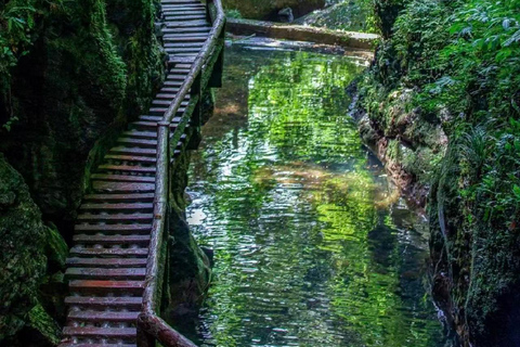 Chengdu: Qingcheng Mountain Entry Ticket & Digital Guide Chengdu: Mount Qingcheng Back Mountain Ticket & Digital Guide