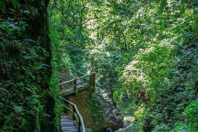 Chengdu: Qingcheng Mountain Entry Ticket & Digital Guide Chengdu: Mount Qingcheng Back Mountain Ticket & Digital Guide