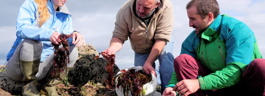 Visite culinaire et culturelle à Inishmore, îles d'Aran.privée