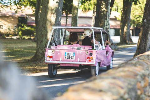 Gourmet road trip and visit to the Domaine des 3 Cellier in Châteauneuf-du-Pape