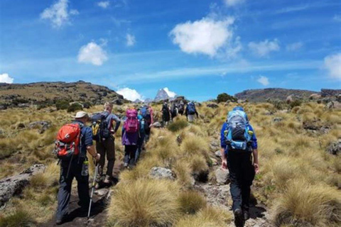 Nairobi: Mount Kenya Day Hike with Lunch