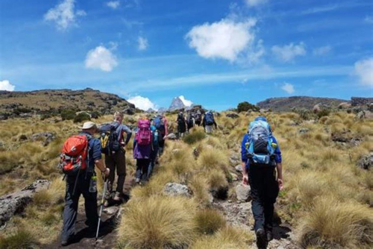 Nairobi: Mount Kenya Day Hike with Lunch