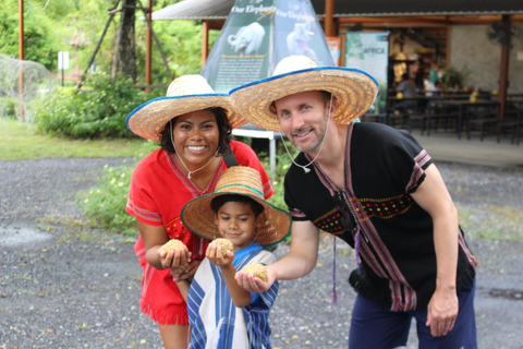 Bangkok: Railway Market, Floating Market & Elephants Tour