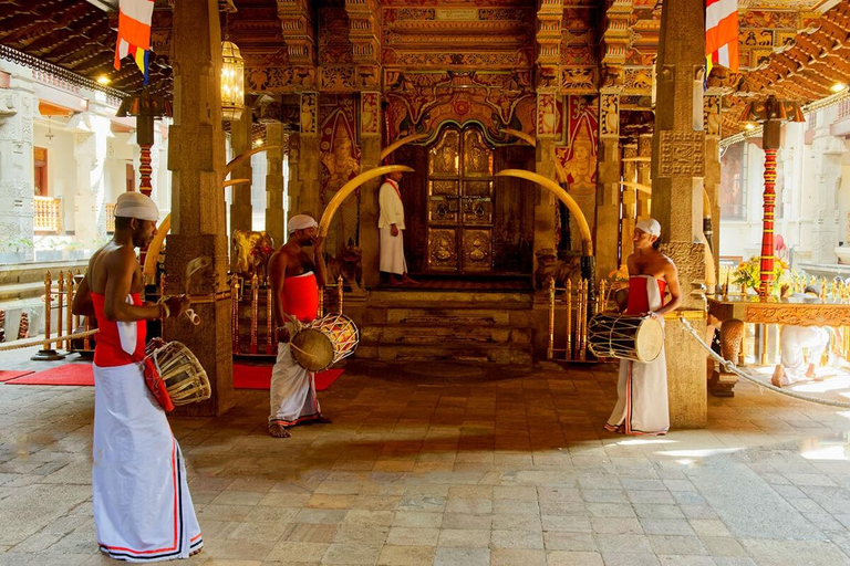 Kandy : Ambuluwawa & Pinnawala Orphanage Day Tour by Tuk Tuk