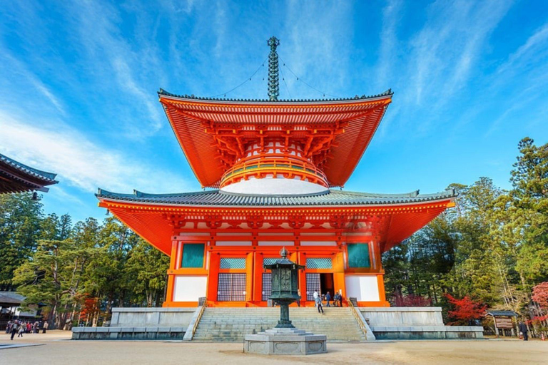 From Osaka/Kyoto: Mt. Koya & Nachi Falls Private Day Trip