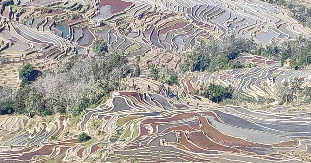 Kunming bosque de piedra Yuanyang terraza jianshui casco antiguo4días ...