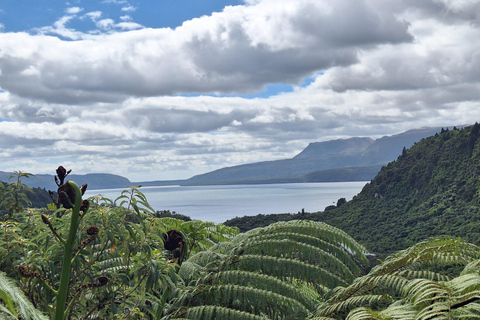 Rotorua: Lake Tarawera, Redwoods & Hot Tubs Tour
