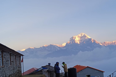 Mooie Khopra Danda Trek vanuit Pokhara - 7 dagenVanuit Pokhara: Khopra Danda Trek 7 dagen