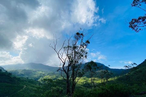 Kandy: Knuckles Mountain Range Full-Day Hike with Lunch