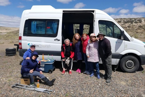 Puerto Madryn: Full-Day Wildlife Safari on Peninsula Valdés Valdes Peninsula: Full-Day Tour from Puerto Madryn