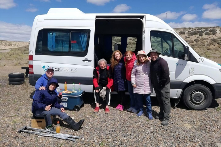 Puerto Madryn: Full-Day Wildlife Safari on Peninsula Valdés Peninsula Valdés: Private Full-Day Excursion from Puerto Madryn